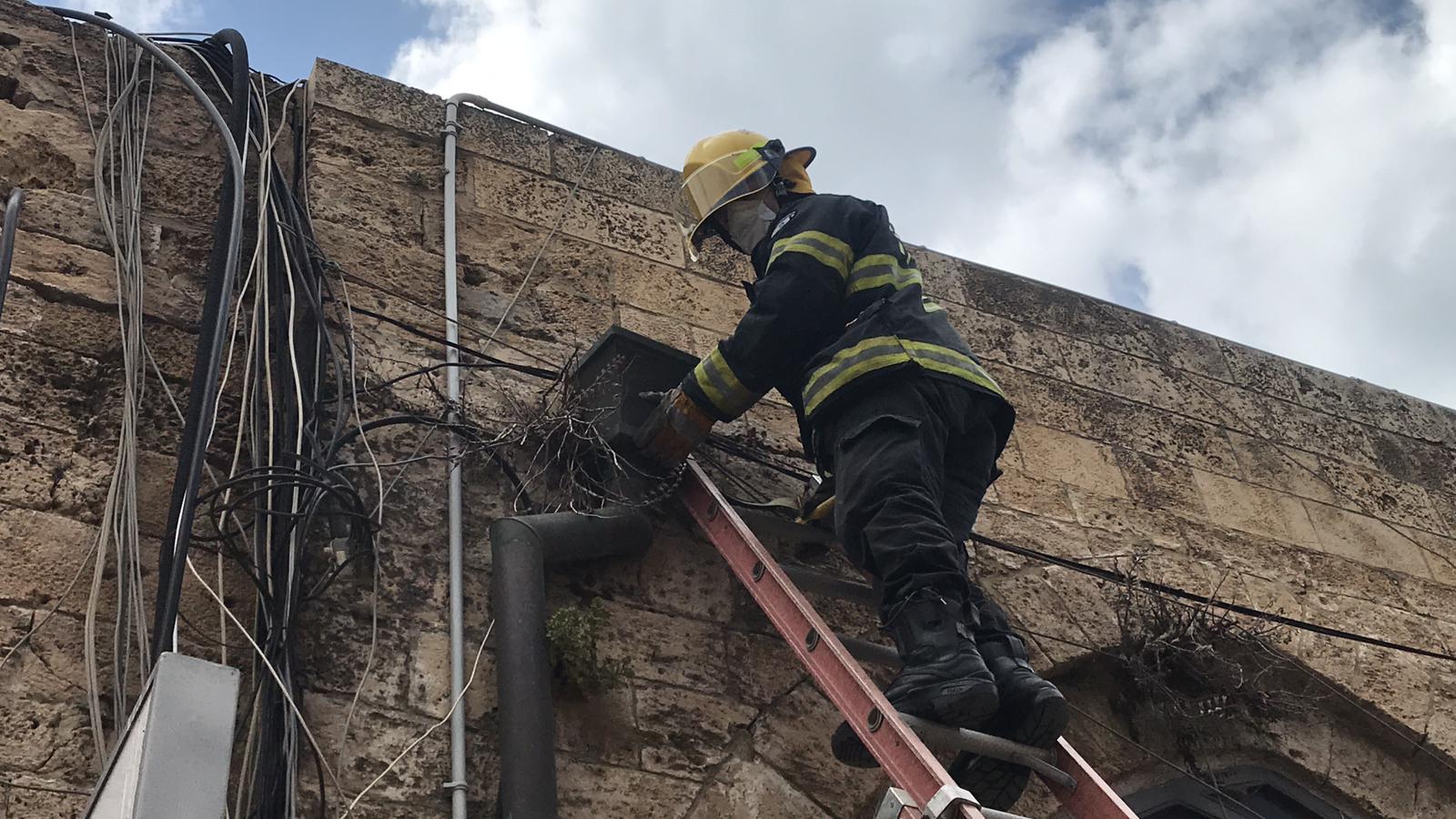 WhatsApp Image 2020-04-25 at 1.57.09 PM (2).jpeg.jpeg